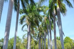 Thorak - Deloraine-Knuckey Lagoon Cemetery in Northern Territory