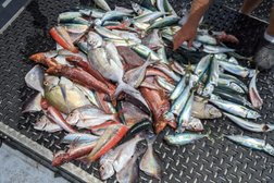 Aquilla Fishing Charters Photo