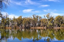 Murray River National Park in South Australia