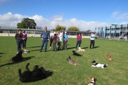 Command Dog Training School in Melbourne