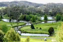 Tasmanian Arboretum Photo