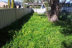 Bunbury Pest & Weed Solutions in Western Australia