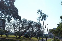 Bowen Park in Brisbane