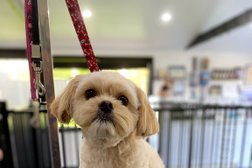PAWPALS Dog Grooming Salon in New South Wales