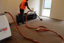 Carpet Steam Cleaning Services Photo