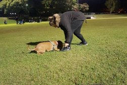 Gold Coast Dog Obedience Training Club Photo