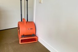 Evolution Group Carpet Cleaning and Pest Control in Queensland