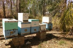 Bee Australian Pty Ltd in Queensland