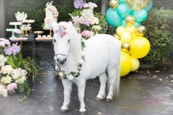 Melbourne Unicorn and Pony Hire Photo