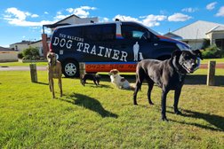 The Walking Dog Trainer in Western Australia