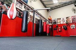 Kings Boxing Gym Photo