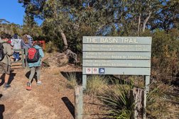 The Basin track and Mackerel track Photo