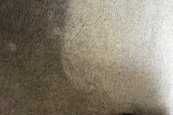 Chem-Dry Cleaner Carpets Photo