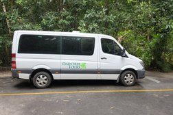 Daintree Tours in Queensland