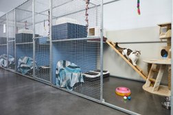 Baldivis Boarding Kennels and Cattery in Western Australia