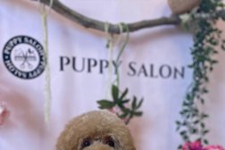 Puppy Salon Photo