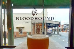Bloodhound Corner Bar & Kitchen in Brisbane