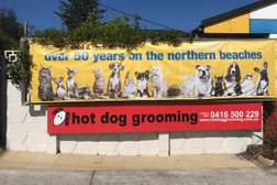 Hotdog Grooming Photo