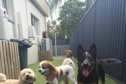 The Dog Emporium in Queensland
