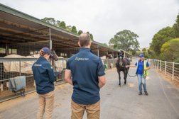 Equus Veterinary Services in South Australia