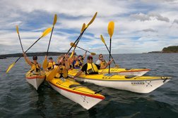 Sydney Harbour Kayaks Photo