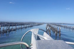 Experience Coffin Bay Oyster Farm Tours Photo