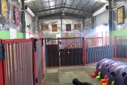 Winnellie Doggy Daycare in Northern Territory