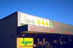 Dyne Quilts & Rejuvenation in Adelaide