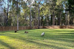 Fetch Pet Resort in New South Wales