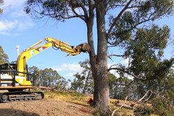 STC Tree Services in Tasmania