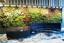 Ambius Indoor Plants Perth Photo