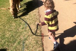 Pony Rides Catani in Melbourne
