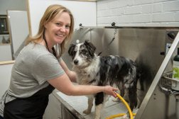 Super Mutts dog grooming & supply in Melbourne
