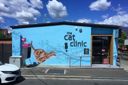 The Cat Clinic Hobart Photo