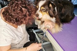 Bannockburn Dog Grooming and Pet Supplies in Victoria