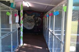 Coltrandi Pet Boarding & Training Centre kennels Cattery in Brisbane