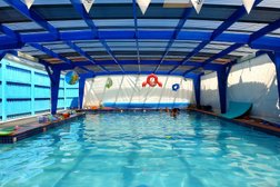 Shapland Swim School - Warner Photo