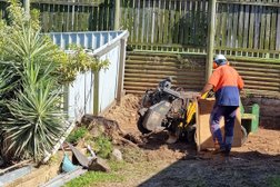 Palm & Tree Services in Queensland