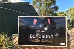 Bonorong Wildlife Sanctuary in Tasmania