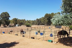 Forge Farm Riding School in Western Australia