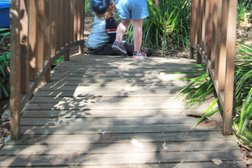 Explore & Develop Narraweena - Early Learning Centre in New South Wales