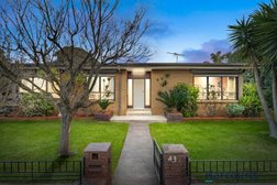 Harcourts First in Melbourne
