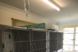 Creeklands Veterinary Surgery in New South Wales