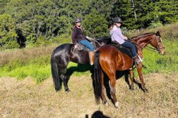 Horse Riding Hub - Beginner Horse Rider Education Specialist Photo