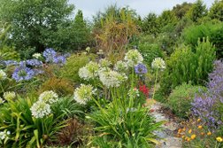 Dig This Landscape Garden Supplies in Tasmania