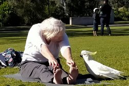 Centenary Yoga in Brisbane
