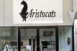 Aristocats Feline Day Spa in Brisbane