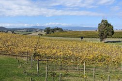 Yarra Valley Wine Tasting Tours Photo
