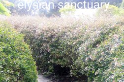 Holistic Intuitive Healing At The Elysian Sanctuary in South Australia