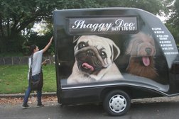 Shaggy Doo Mobile Dog Grooming Photo